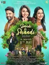 Daadi Ki Shaadi (2026) DVDScr Hindi