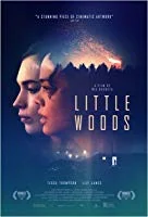 Little Woods (2019) HDRip English