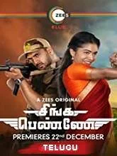 Shivangi (2021) HDRip Telugu Season 1 Episodes (01-13)
